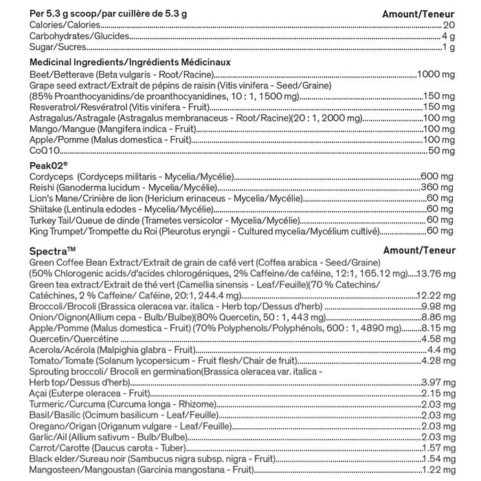 Younited Energy Activator 160g