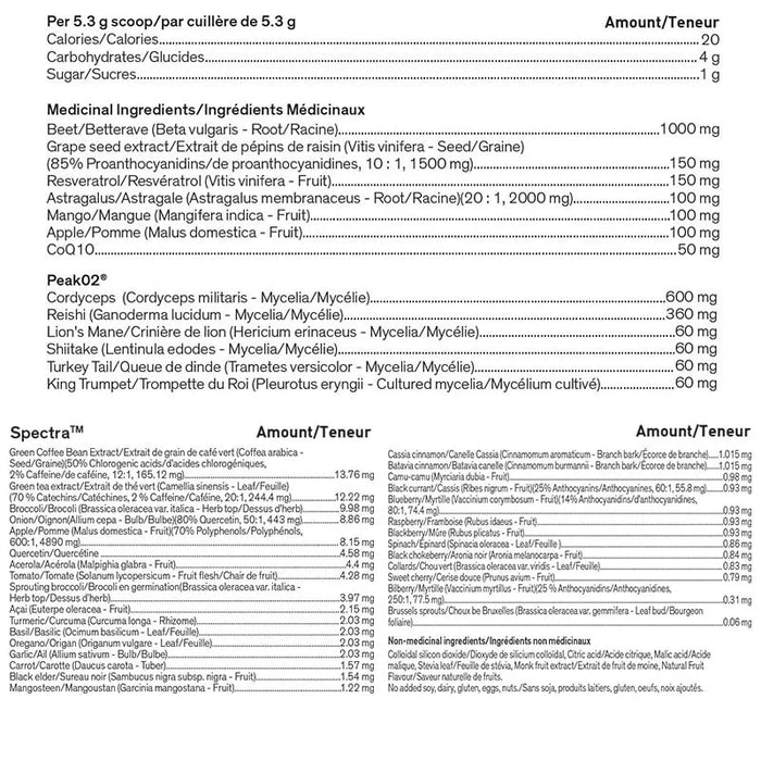 Younited Energy Activator 160g